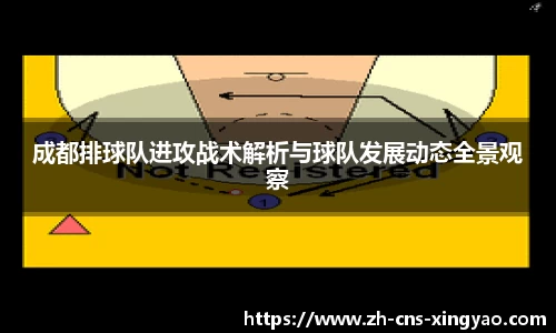 成都排球队进攻战术解析与球队发展动态全景观察